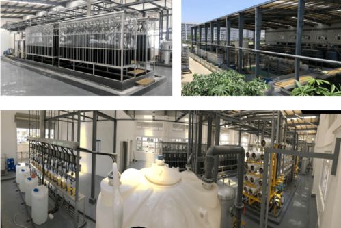 全國煤炭與煤化工環(huán)境治理及保護(hù)大會(huì)暨生物化工產(chǎn)品技術(shù)研發(fā)研討會(huì)預(yù)通知