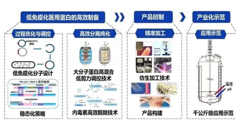 西北大學獲批3項國家重點研發計劃，聚焦生物化工產品技術研發新突破